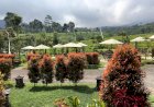 Bale Branti, Makan Ditengah Hamparan Pedesaan Khas Lereng Gunung