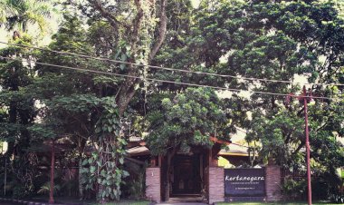 Kertanegara Resto Malang Bangun Suasana Serasa Makan di Rumah