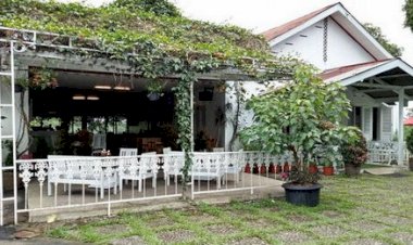 Ndoro Dongker Tempat Wajib Bagi Anda Pencinta Teh