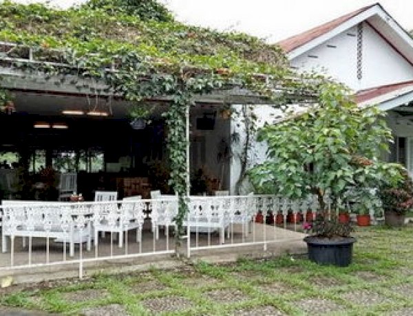 Ndoro Dongker Tempat Wajib Bagi Anda Pencinta Teh