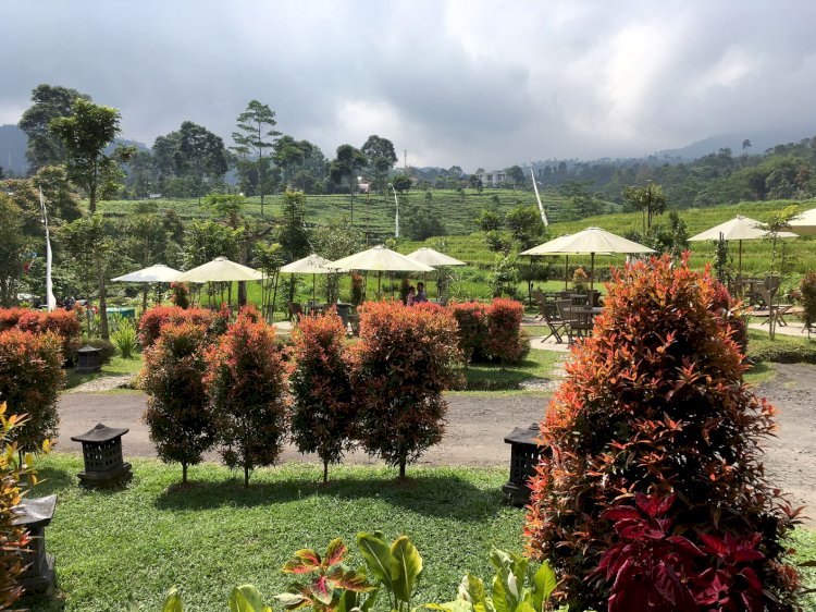 Bale Branti, Makan Ditengah Hamparan Pedesaan Khas Lereng Gunung