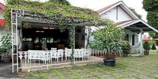 Ndoro Dongker Tempat Wajib Bagi Anda Pencinta Teh